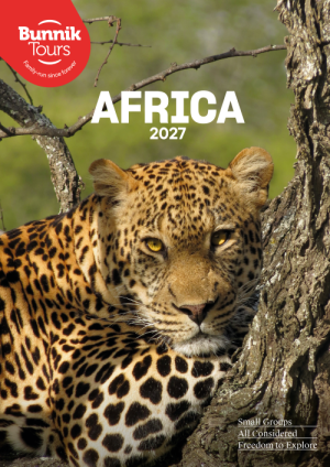 Africa 2027
