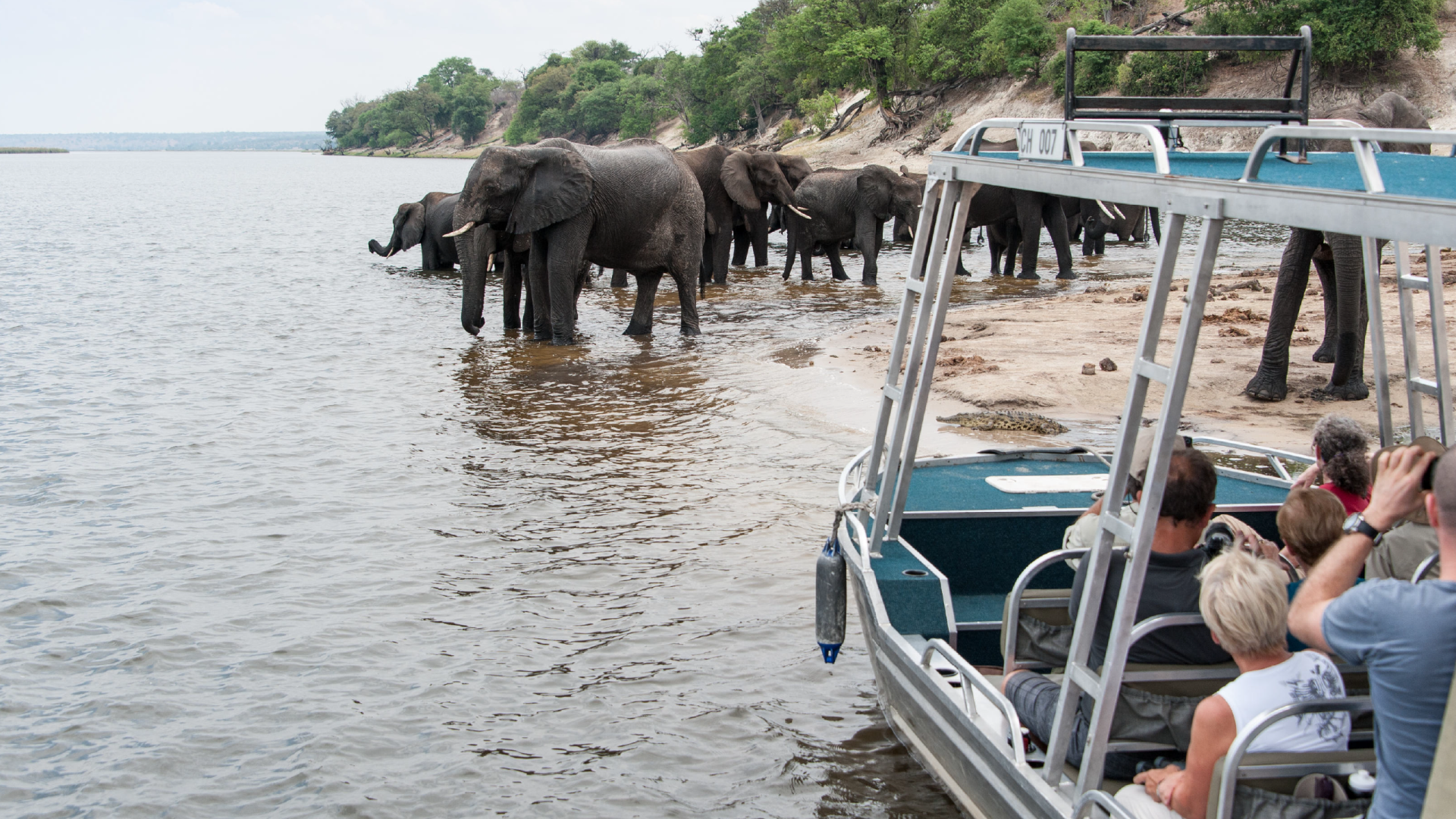 Zambezi Queen Game Drive by ZQ Collection