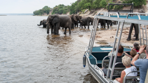 Zambezi Queen Game Drive by ZQ Collection