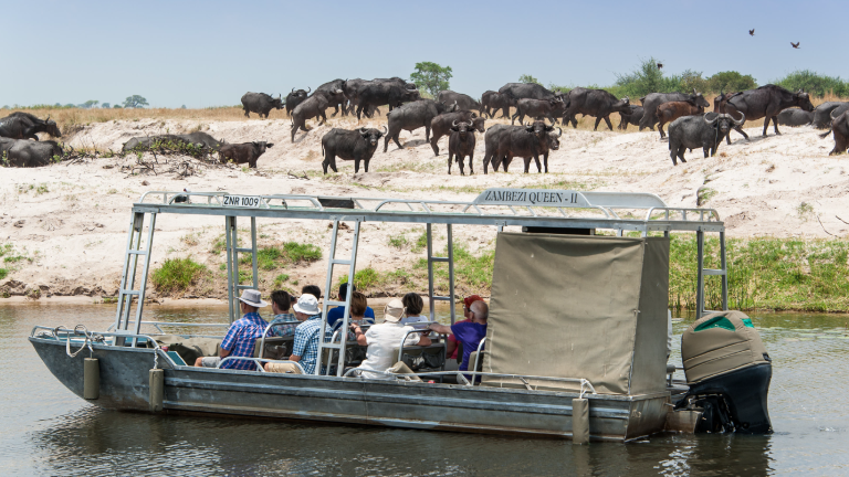 Zambezi Queen Game Drive by ZQ Collection