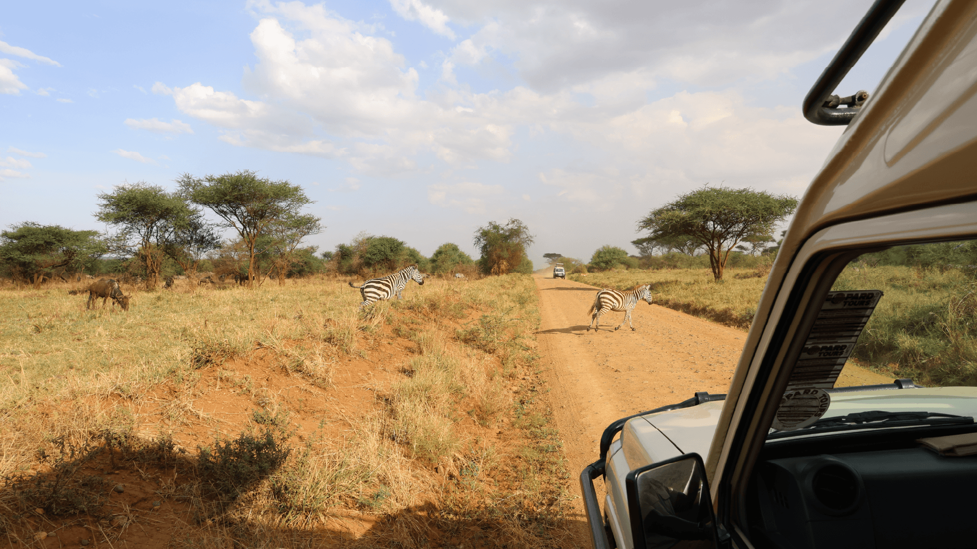 A day on safari in the Maasai Mara, Kenya by Amie Bunnik
