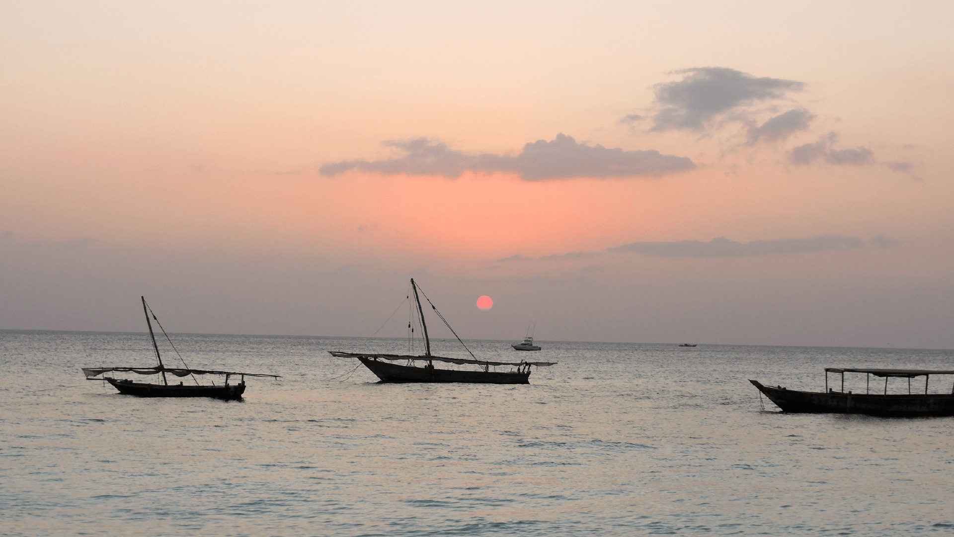 Zanzibar by Zoe Francis