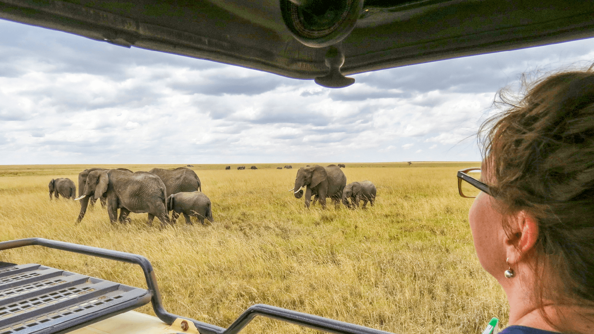 A herd of African Elephants roaming in the Serengeti in Tanzania captured by Sarah Nicholson
