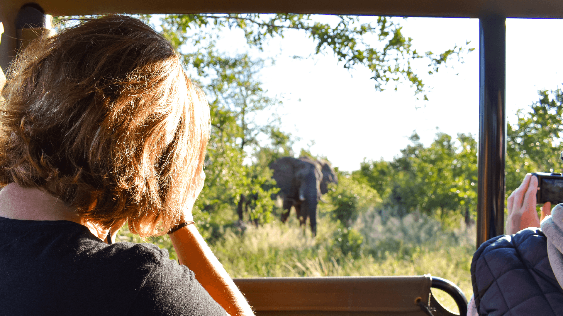 Kruger National Park, South Africa by Kelly Whitelaw