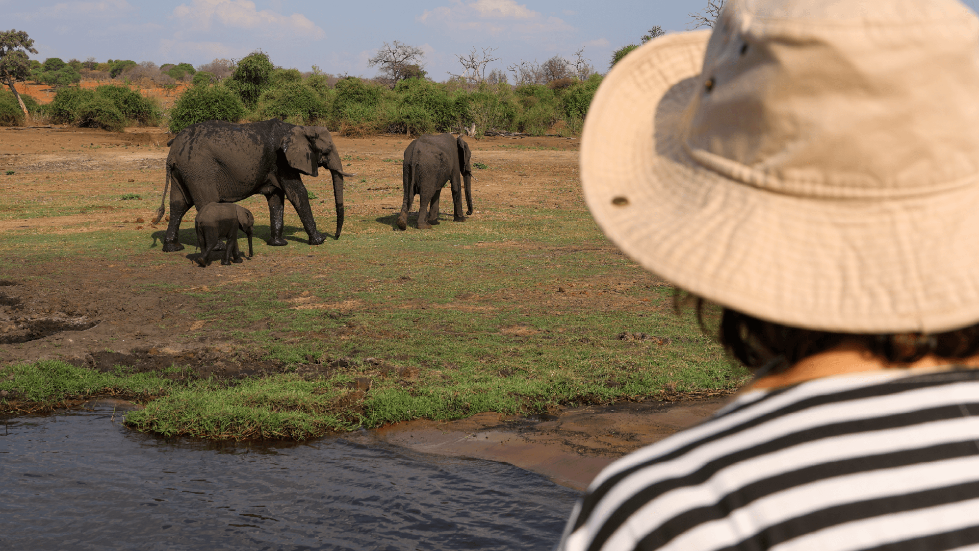 A women looking out at African Elephants wondering the plains of Chobe National Park, Botswana captured by Amie Bunnik