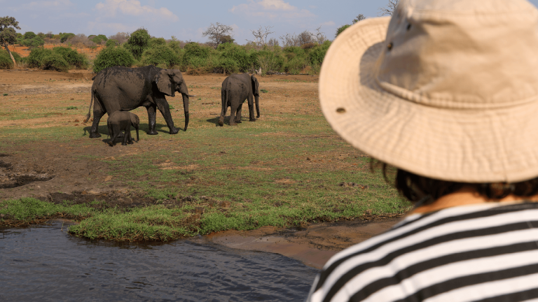 A women looking out at African Elephants wondering the plains of Chobe National Park, Botswana captured by Amie Bunnik