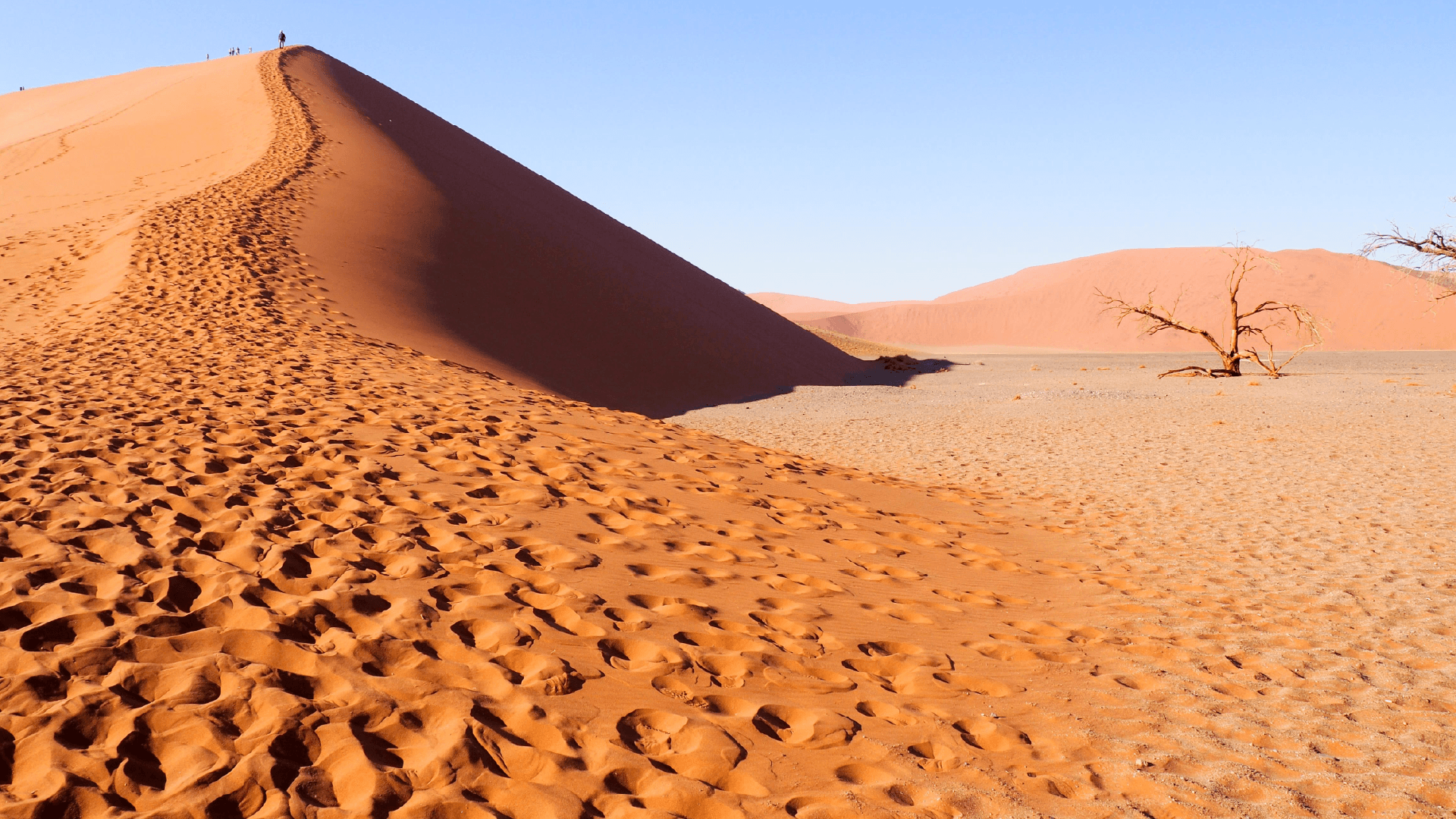 Sossuvlei sand dunes, Namibia by Emily Fraser