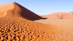 Sossuvlei sand dunes, Namibia by Emily Fraser
