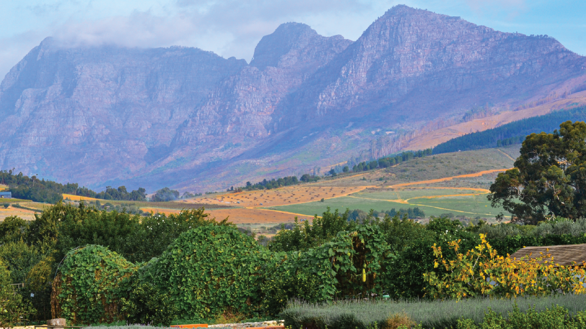 Val du Charron, Stellenbosch, South Africa by Jeremy van Heerde