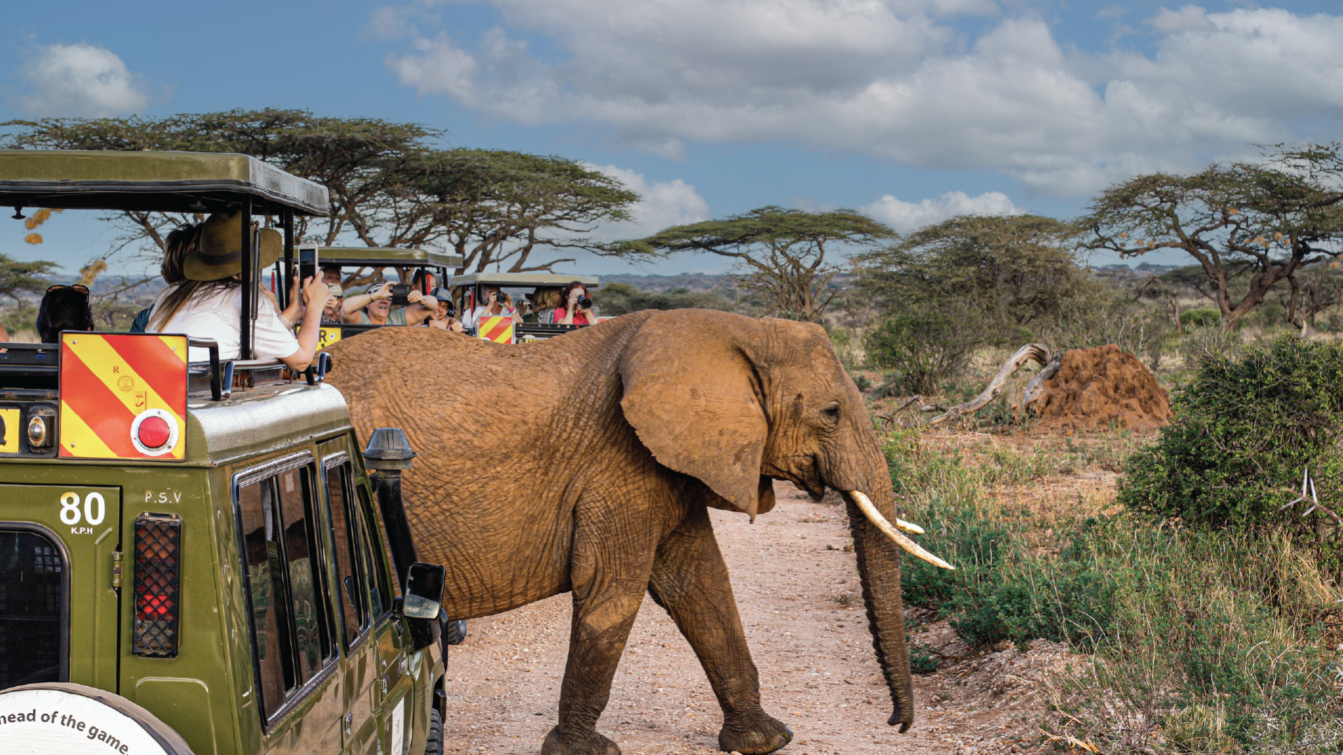 Kenya by David Hammet