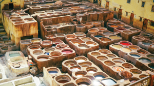 Fez, Morocco by Priscilla Aster