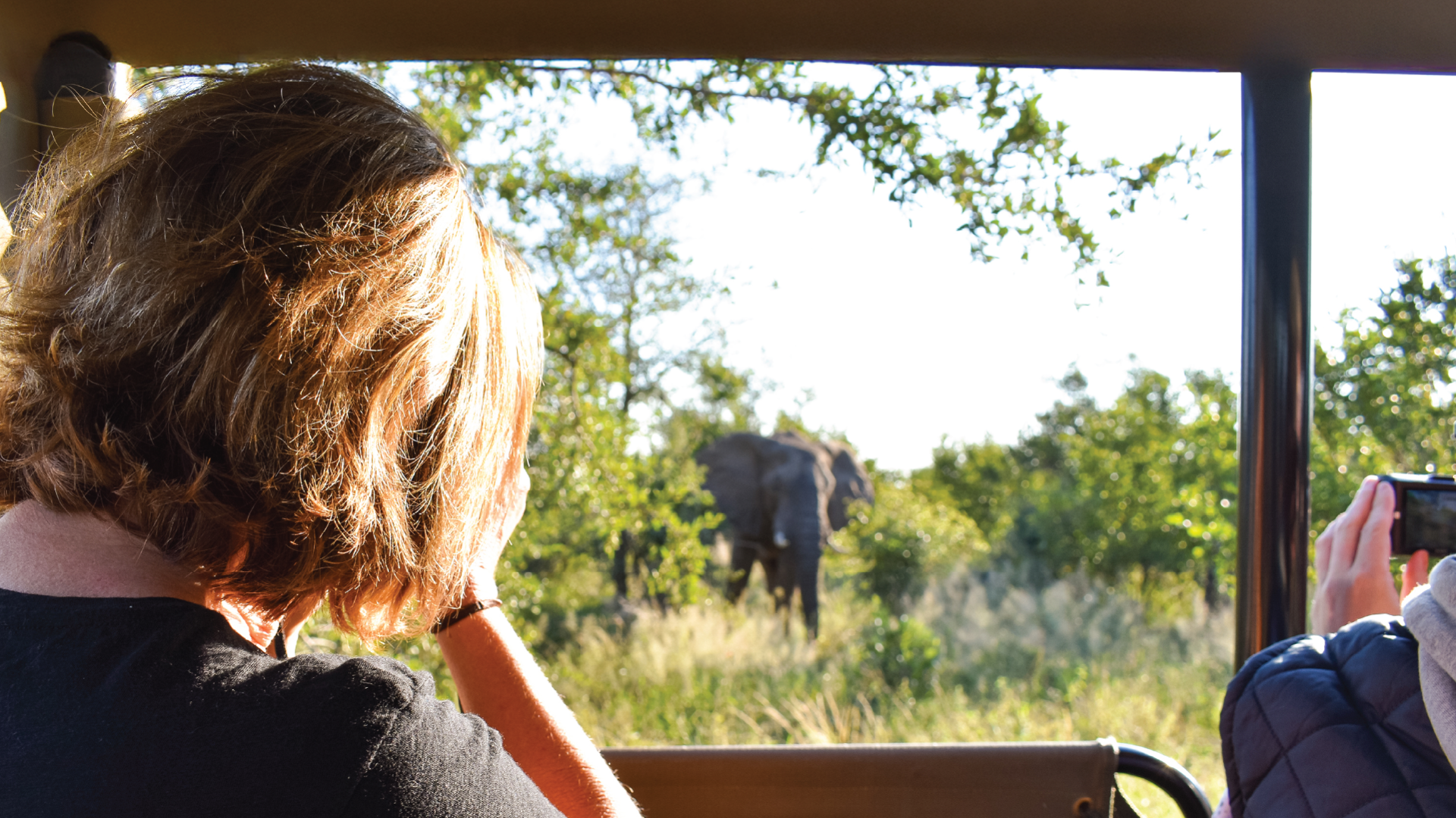 Kruger National Park, South Africa by Kelly Whitelaw