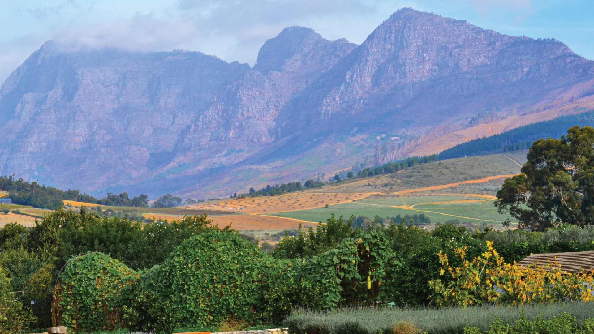 Val du Charron, Stellenbosch, South Africa by Jeremy van Heerde