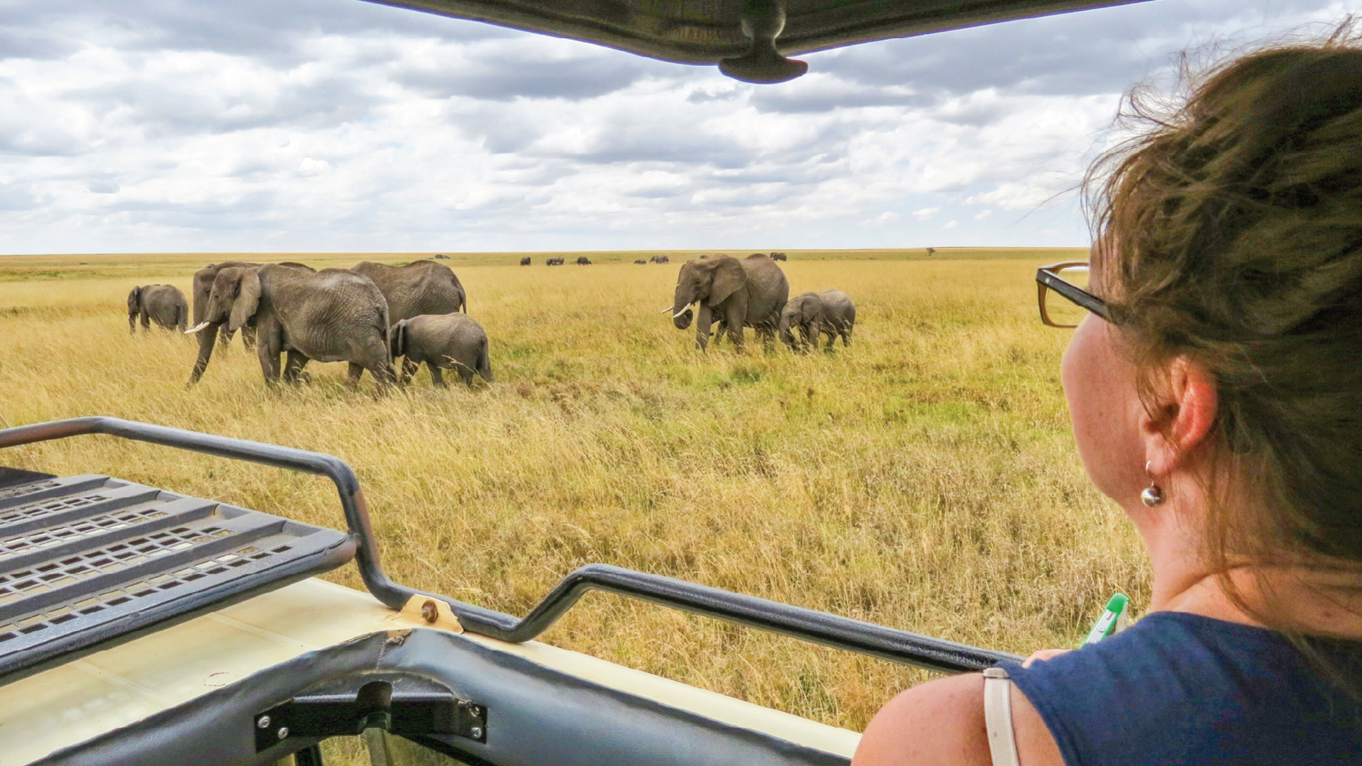 Serengeti National Park, Tanzania by Sarah Nicholson