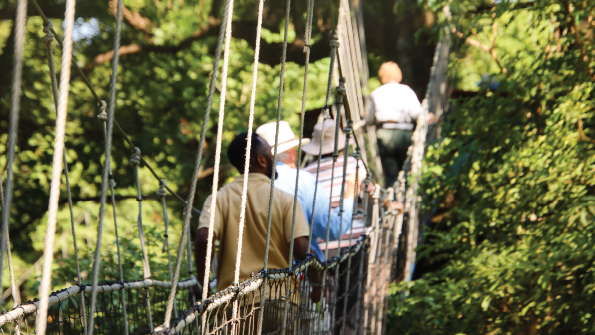 Manyara Treetop Walk, Tanzania by Annelieke Huijgens