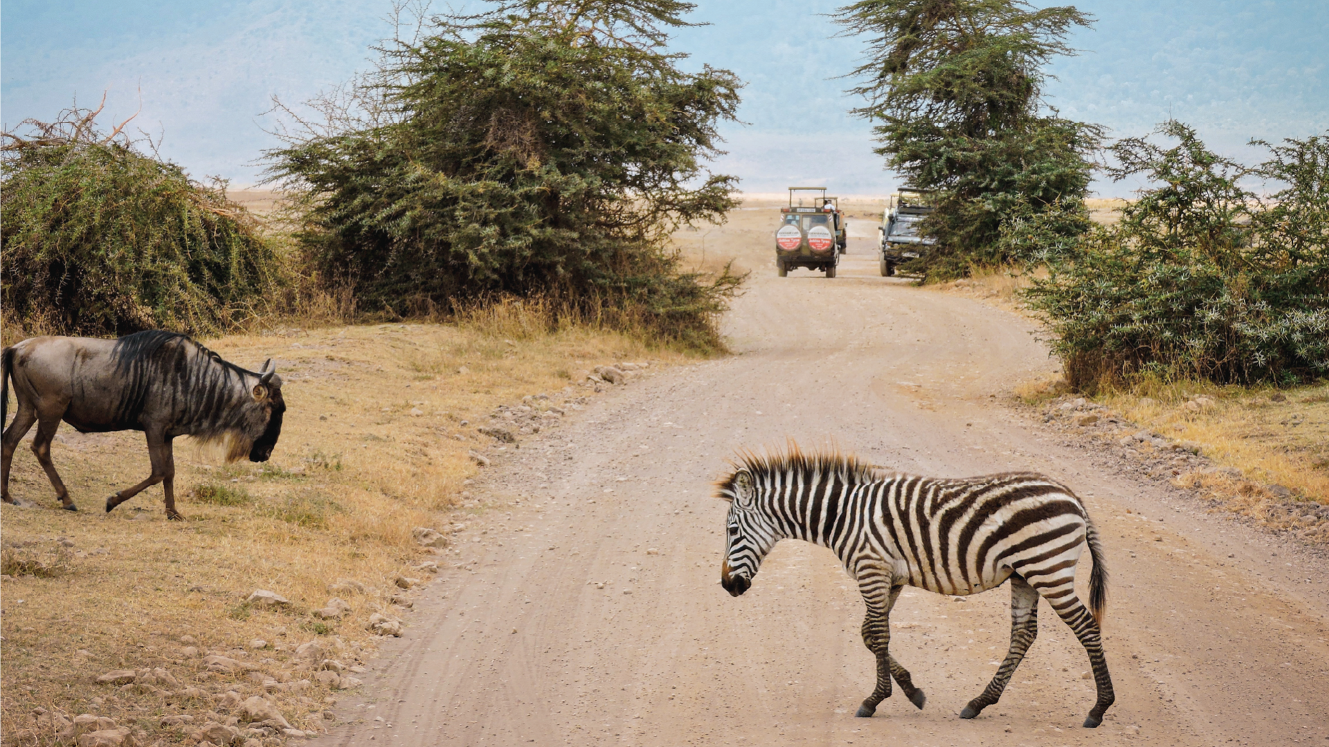 Ngorongoro Crater, Tanzania by Zoe Francis