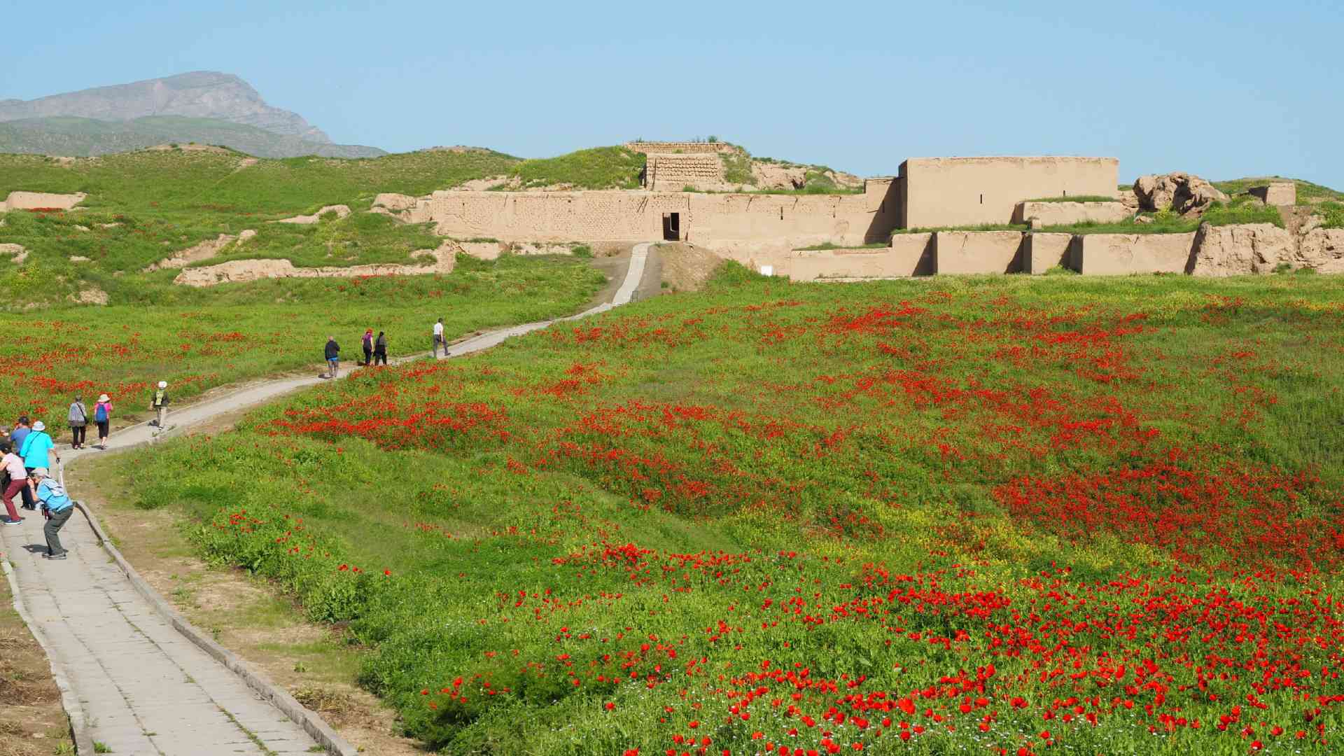 Old Nisa, Ashgabat, Turkmenistan by Annelieke Huijgens