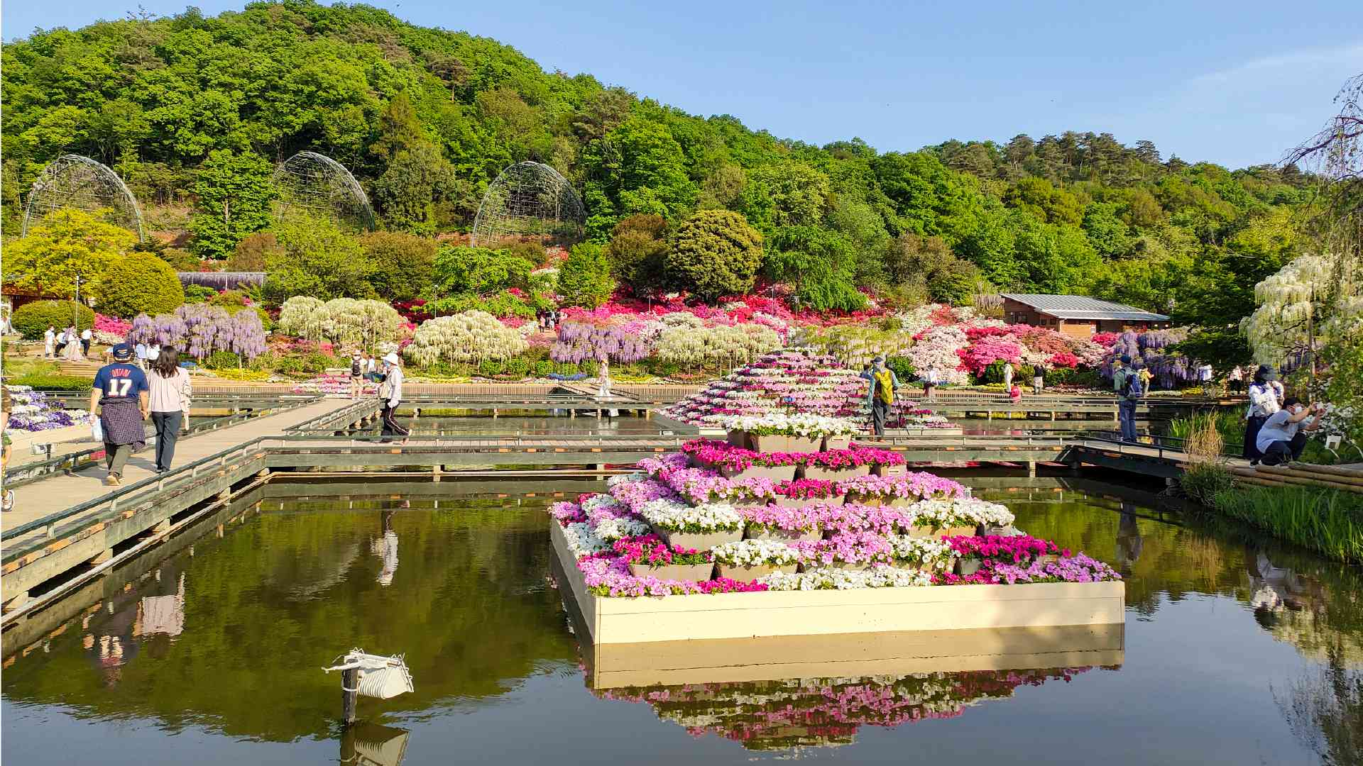 Ashikaga Flower Park, Japan by Kimagurenote/Flickr