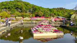 Ashikaga Flower Park, Japan by Kimagurenote/Flickr