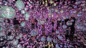 Team Lab Digital Museum in Tokyo, Japan by Jaime Santoyo/Flickr