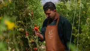Mharo Khet Farm Retreat, Jodhpur, India by Mharo Khet