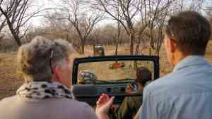 Ranthambore National Park, Rajasthan, India by Matt Baldock