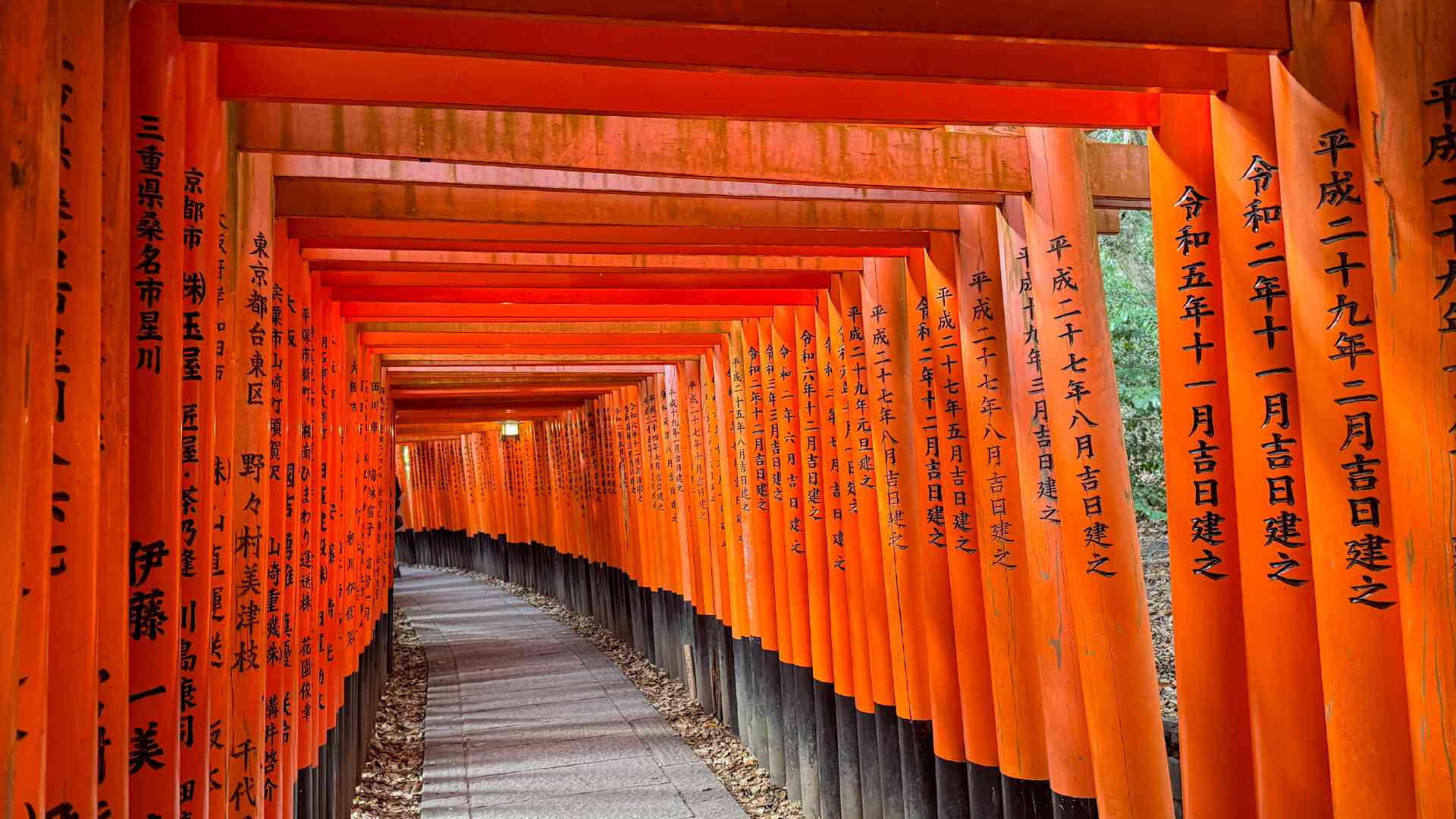 Fushimi Inari Taisha Shrine in Kyoto, Japan by Nicky Bevan