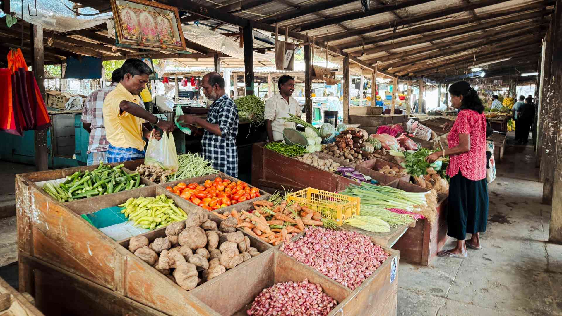Jaffna Market on a Bunnik Tour of Sri Lanka