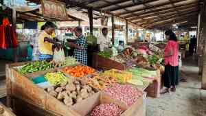 Jaffna Market on a Bunnik Tour of Sri Lanka
