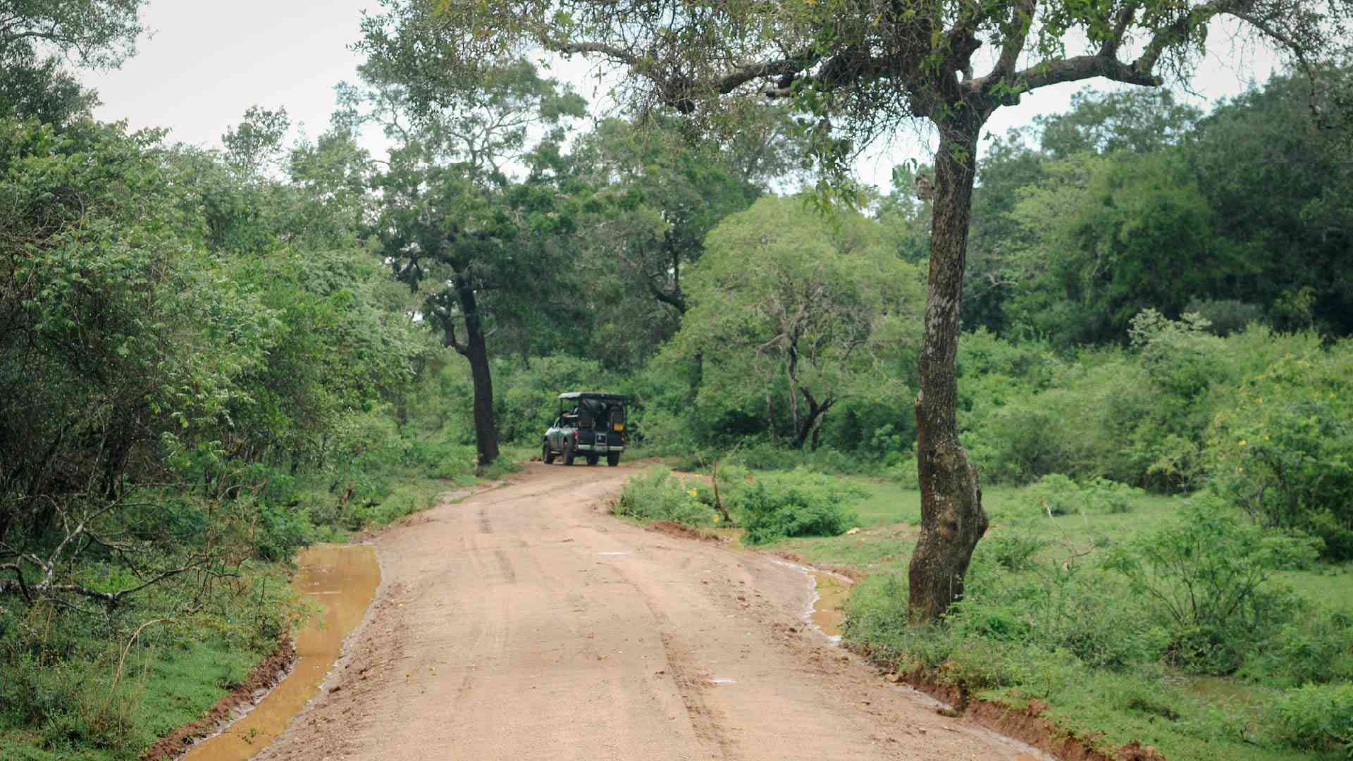 Wilpattu National Park on a Bunnik Tour of Sri Lanka