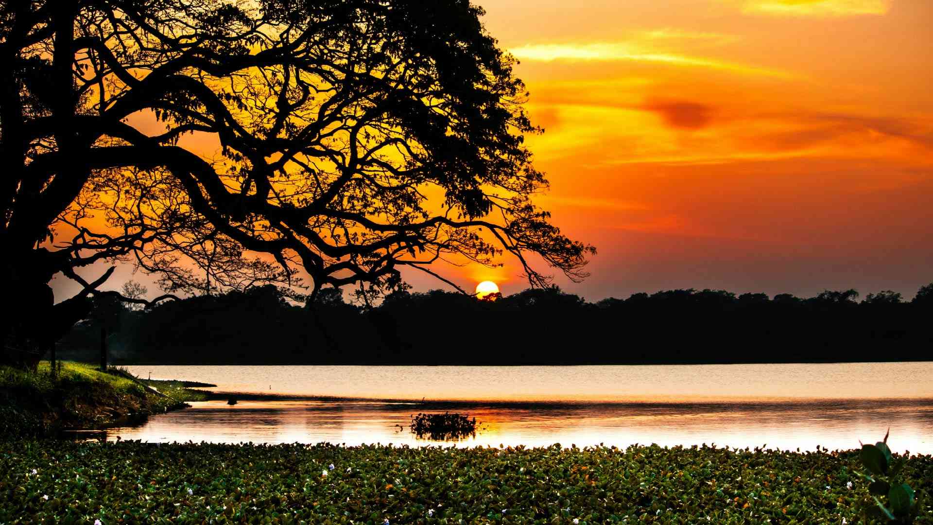 Sunset in Wilpattu National Park on a Bunnik Tour of Sri Lanka