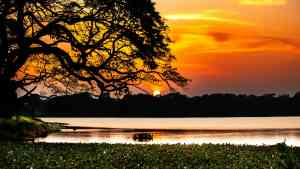 Sunset in Wilpattu National Park on a Bunnik Tour of Sri Lanka