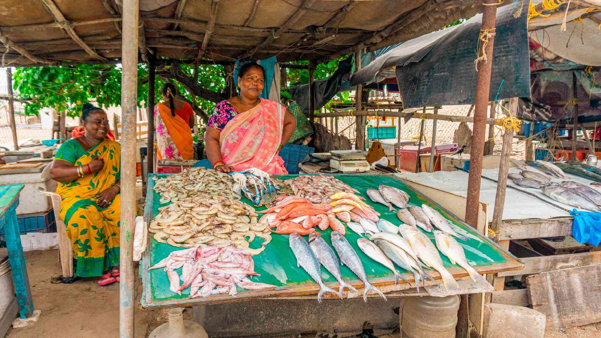Fish vendor in Chennai, India