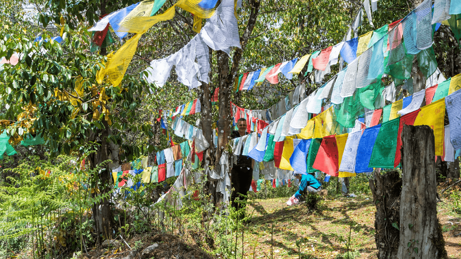 Chimi Lhakhang, Bhutan by Edwin van Ree