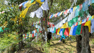 Chimi Lhakhang, Bhutan by Edwin van Ree