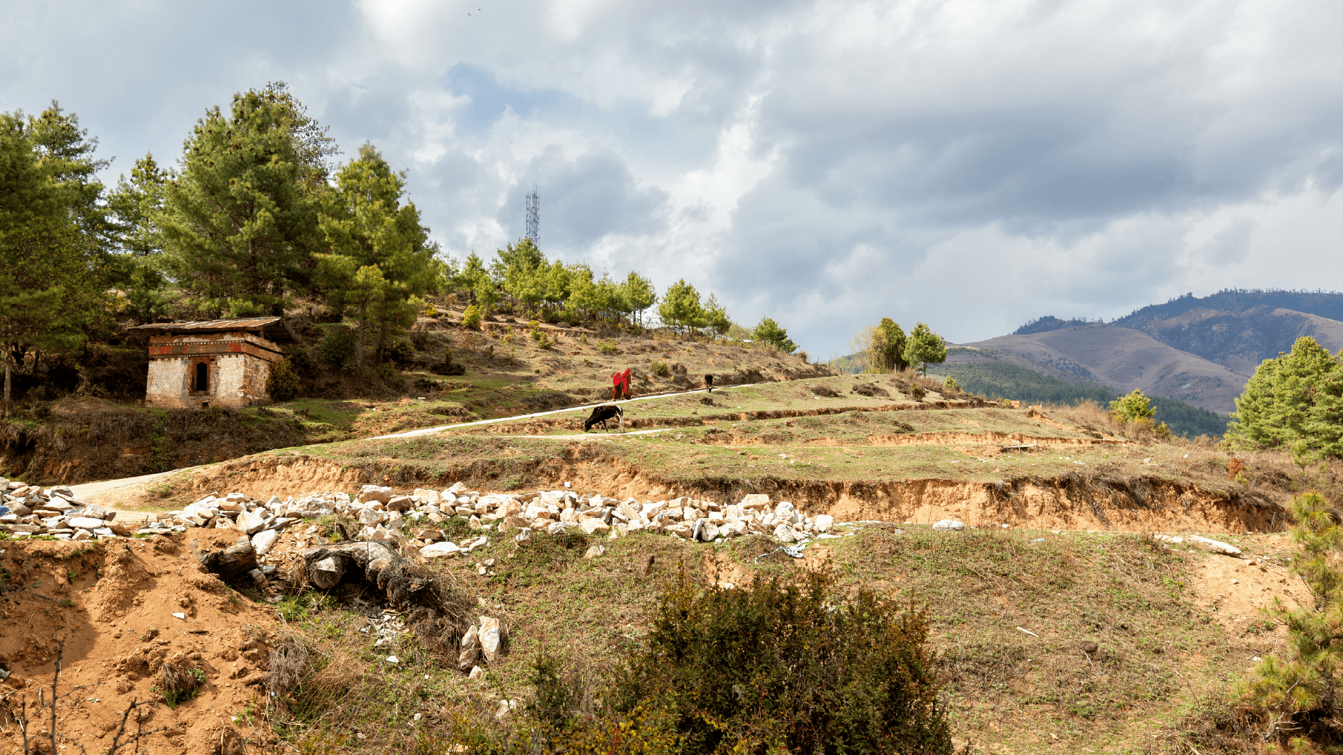 Gangtey Nature trail, Phobjikha Valley, Bhutan by Edwin van Ree