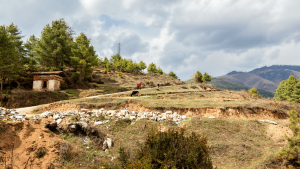 Gangtey Nature trail, Phobjikha Valley, Bhutan by Edwin van Ree