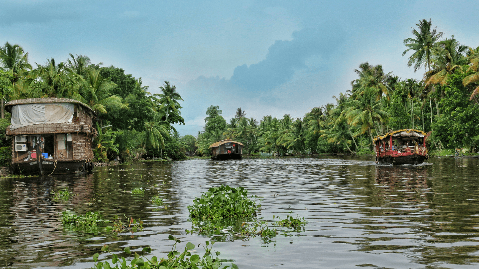 Kerala Backwaters, India by Jay Shah/Unsplash