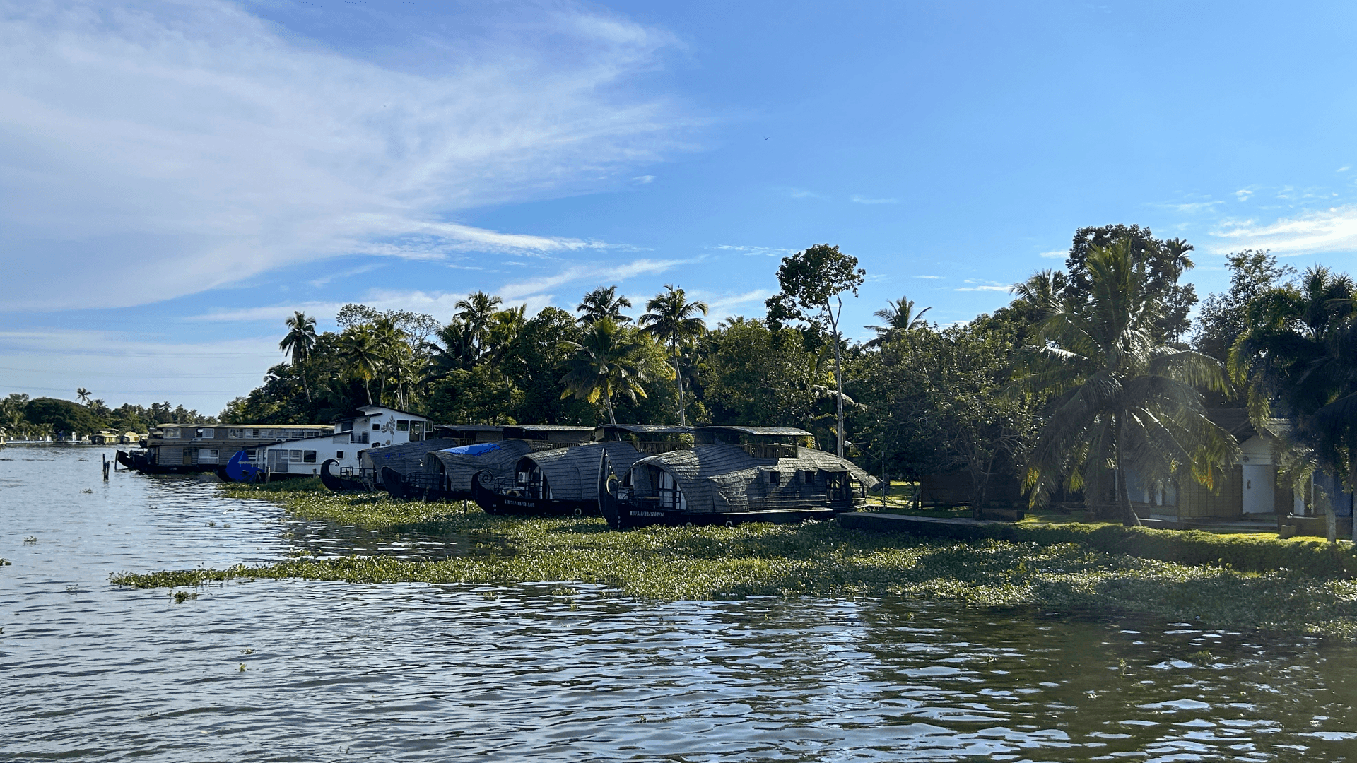 Kerala Backwaters, India by Shreya Banerjee