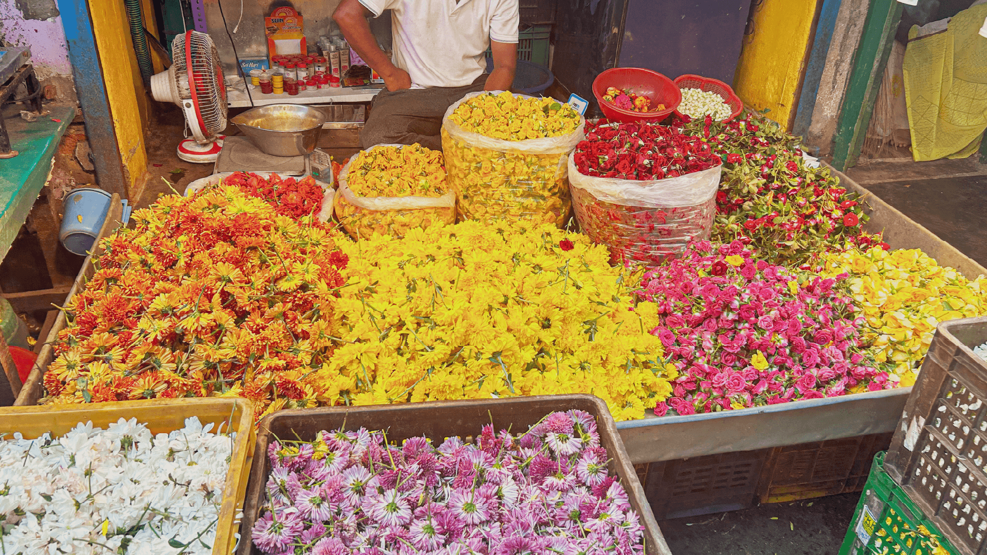 Tamil Quarter, Pondicherry, India by Chloe Marshman