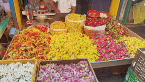 Tamil Quarter, Pondicherry, India by Chloe Marshman