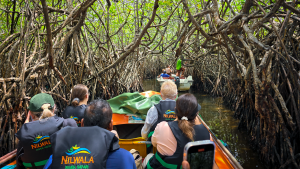 People wearing life jackets in a boat among mangroves in Weligama, Sri Lanka