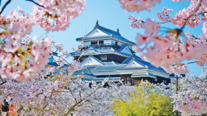 Matsuyama Castle, Ehime, Japan by Rebecca George