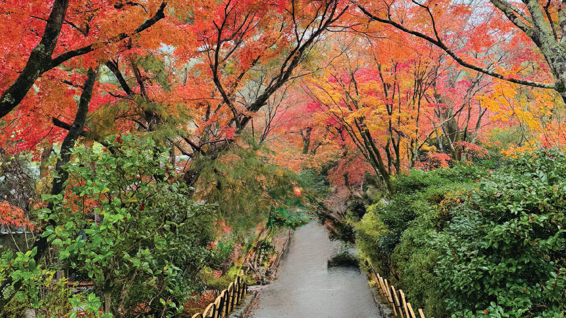 Northern Japan by Walter Delorie