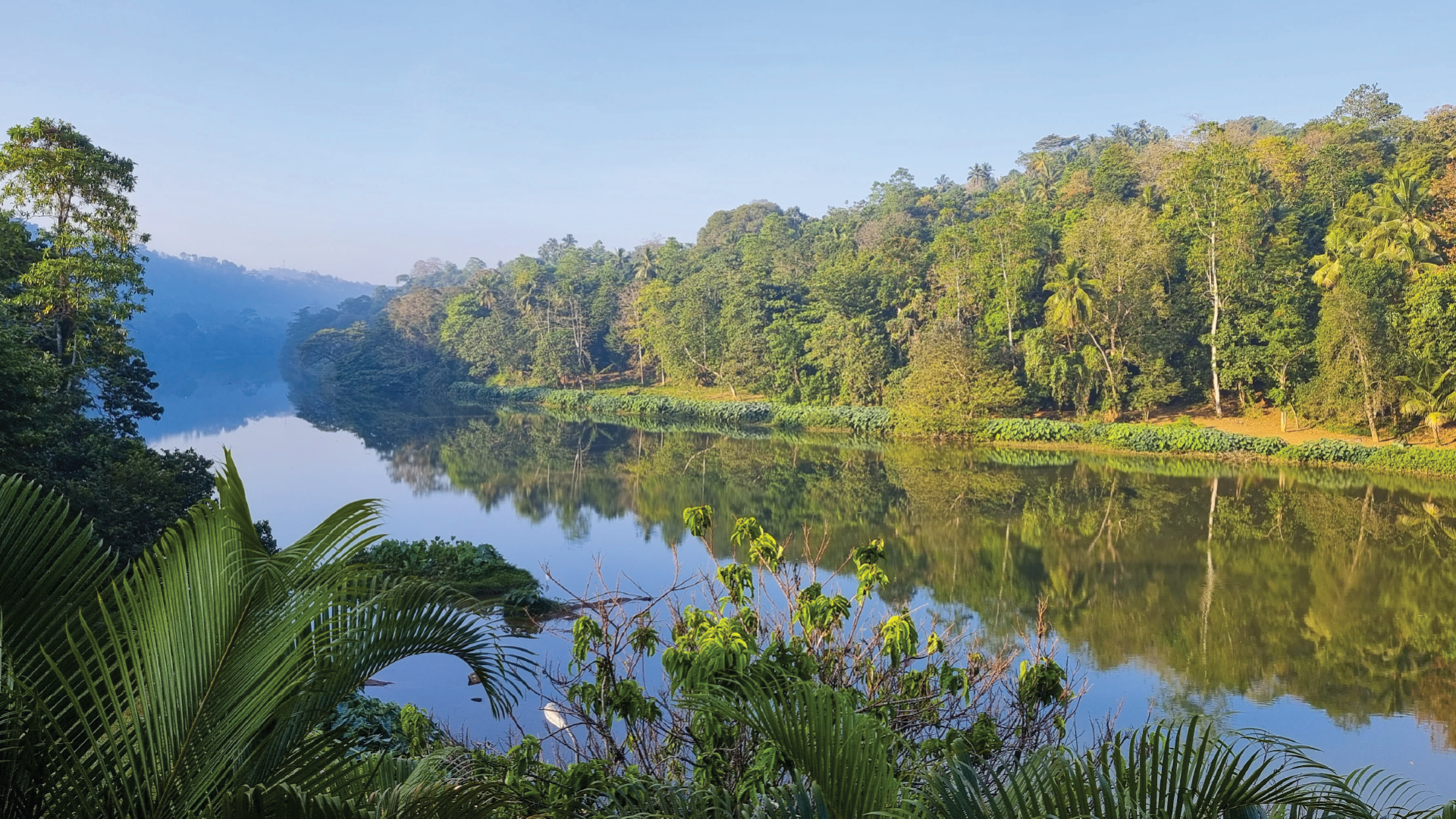 Kandy, Sri Lanka by Dennis Bunnik