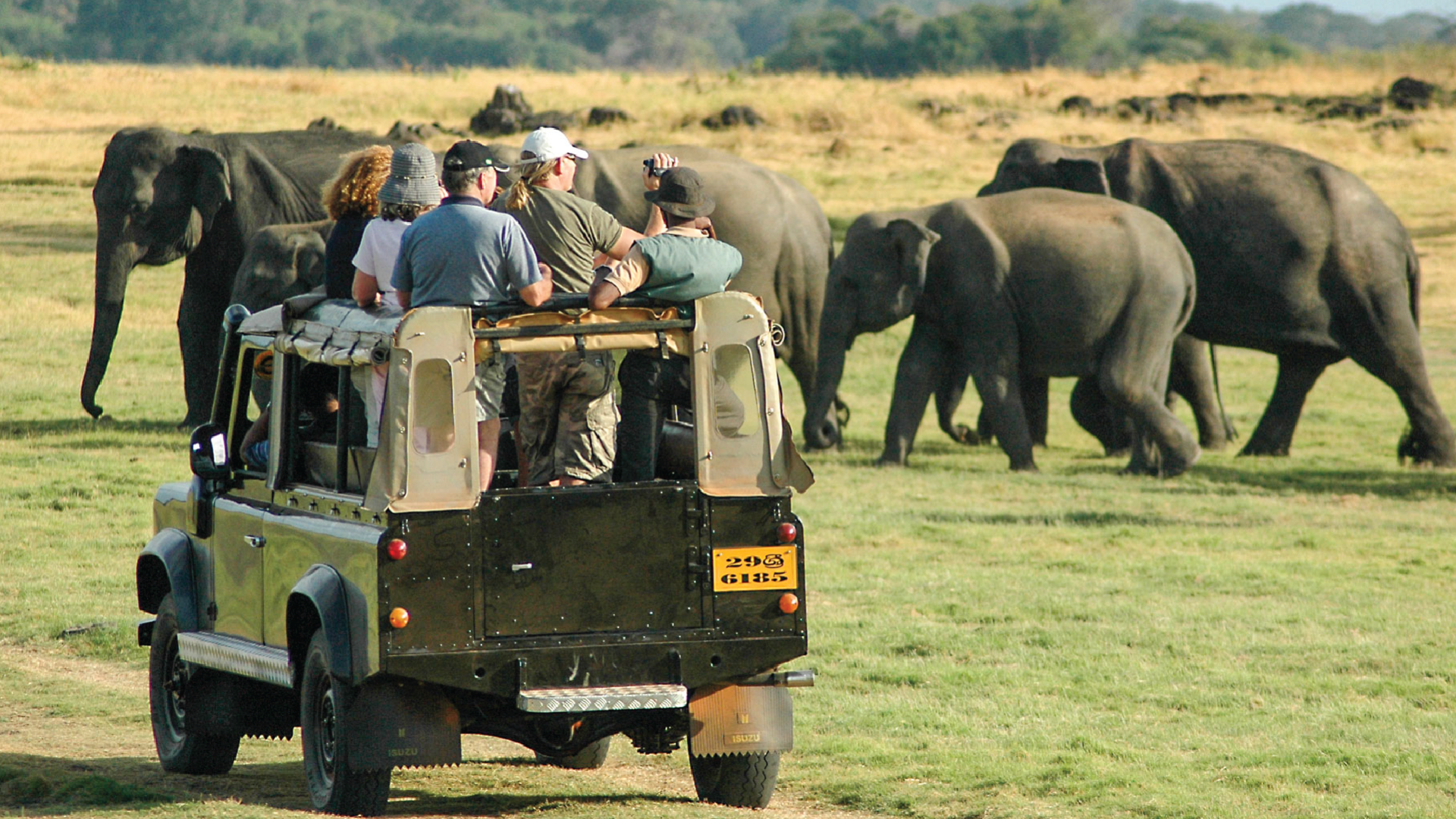 Minneriya National Park, Sri Lanka by Roy Bisson