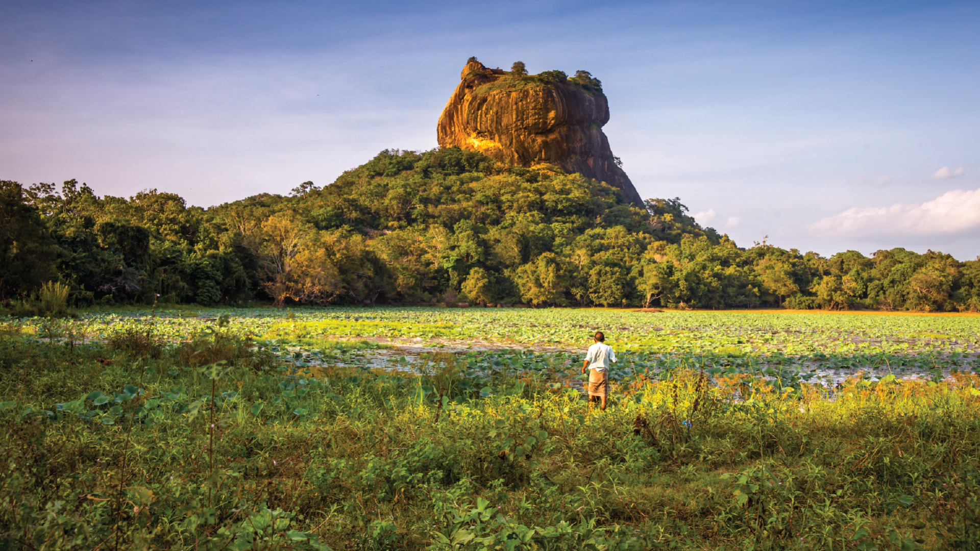 Sigirya Rock, Sri Lanka by David Hein