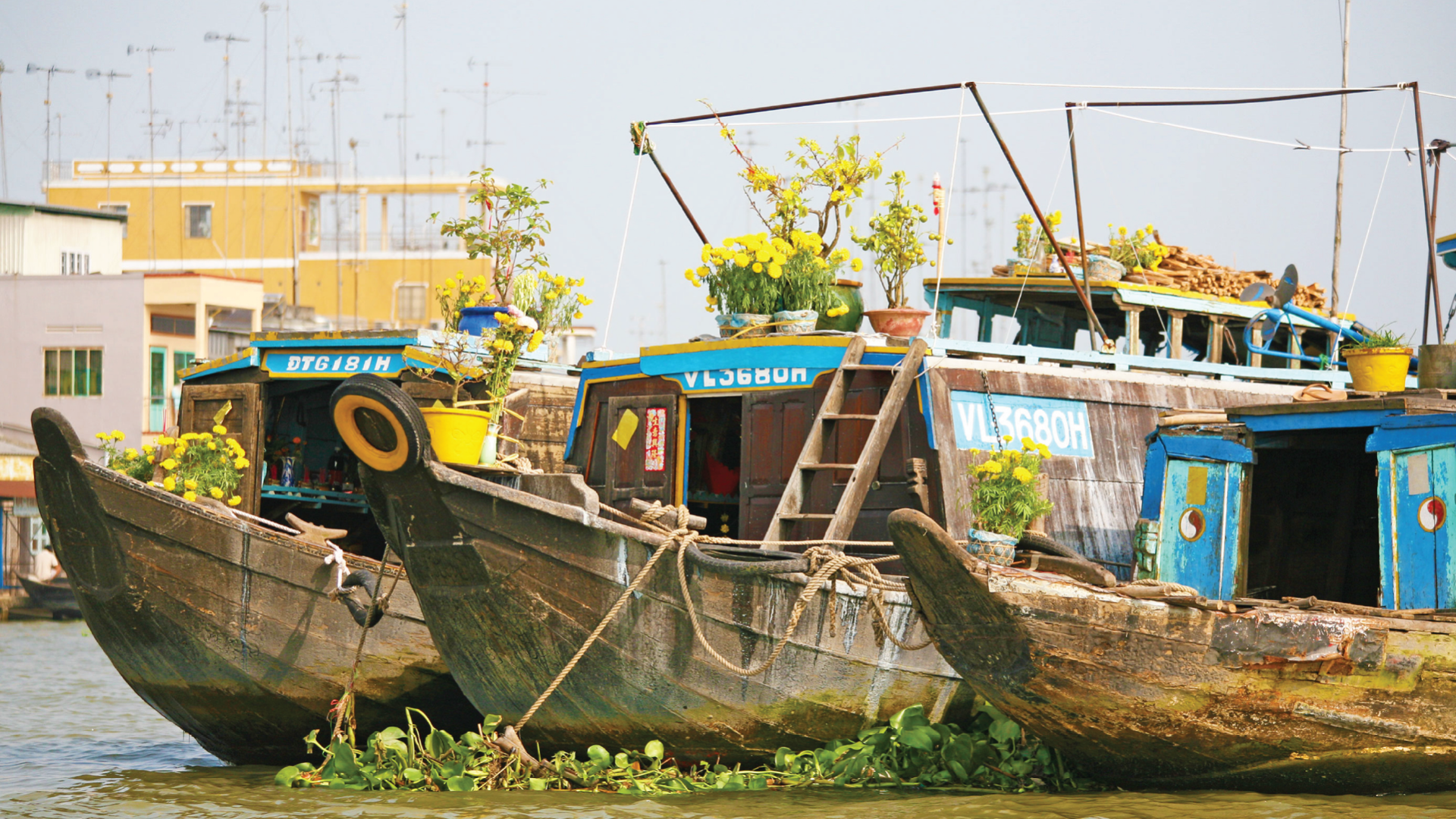 Mekong Delta, Vietnam by Graham Meale