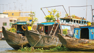 Mekong Delta, Vietnam by Graham Meale