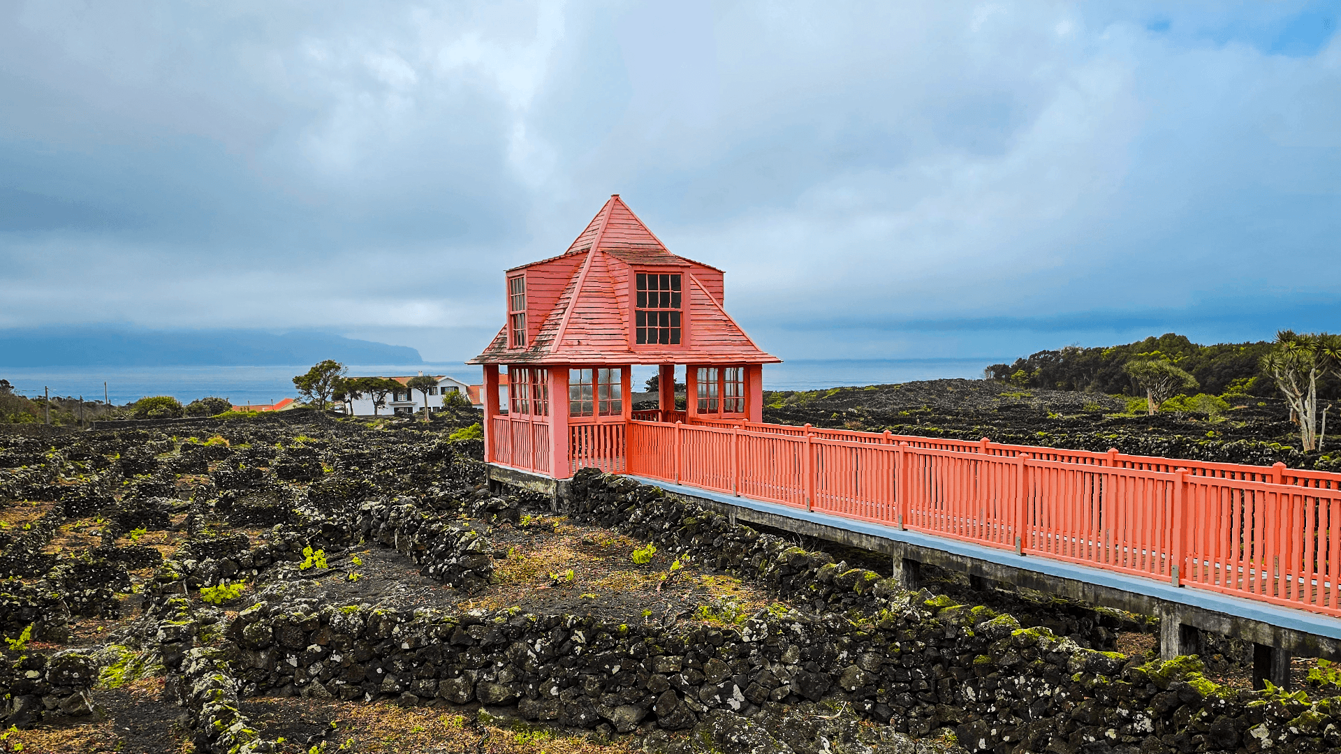 Vineyards in Madalena, Pico Island on a Bunnik Tour of the Azores